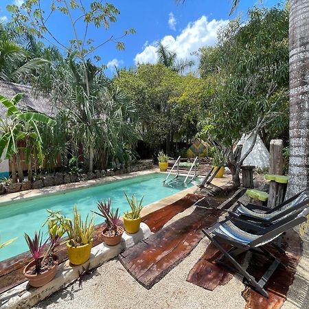Bufo Alvarius Sanctuary Bacalar Buenavista  ภายนอก รูปภาพ