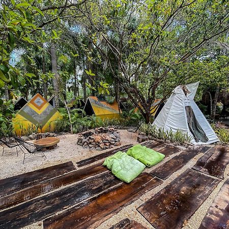 Bufo Alvarius Sanctuary Bacalar Buenavista  ภายนอก รูปภาพ