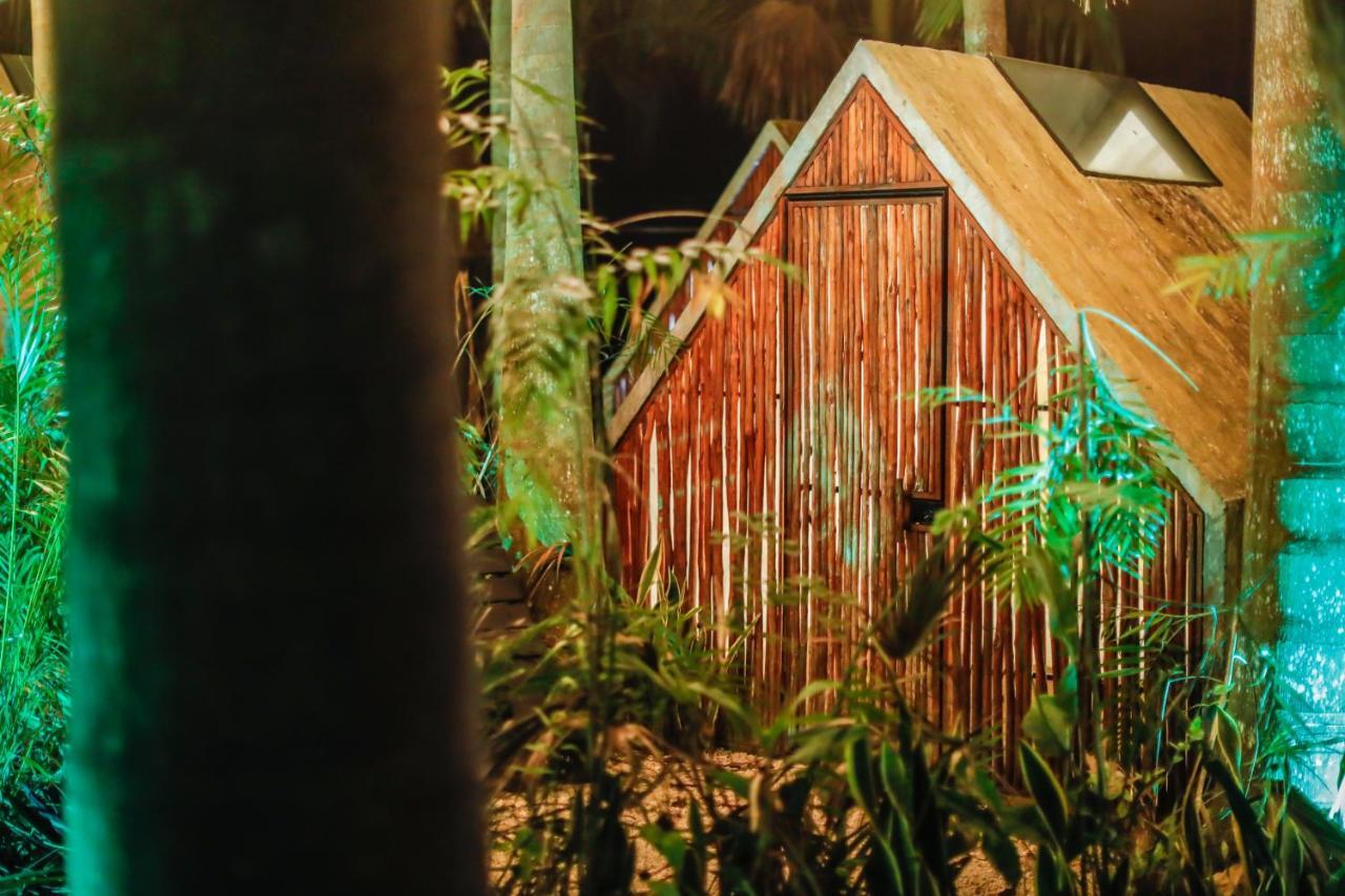 Bufo Alvarius Sanctuary Bacalar Buenavista  ภายนอก รูปภาพ