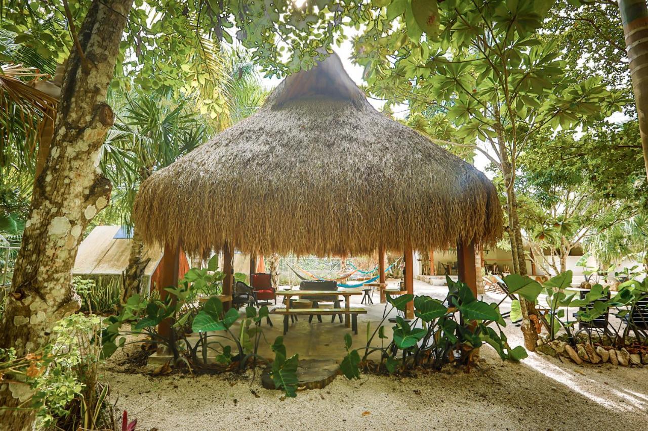 Bufo Alvarius Sanctuary Bacalar Buenavista  ภายนอก รูปภาพ