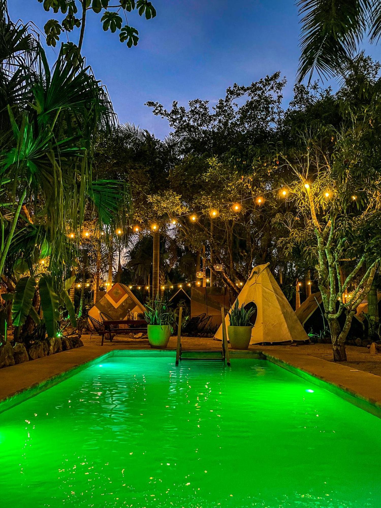 Bufo Alvarius Sanctuary Bacalar Buenavista  ภายนอก รูปภาพ