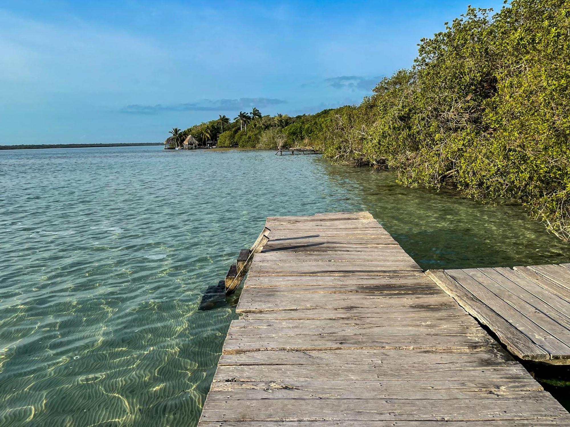 Bufo Alvarius Sanctuary Bacalar Buenavista  ภายนอก รูปภาพ