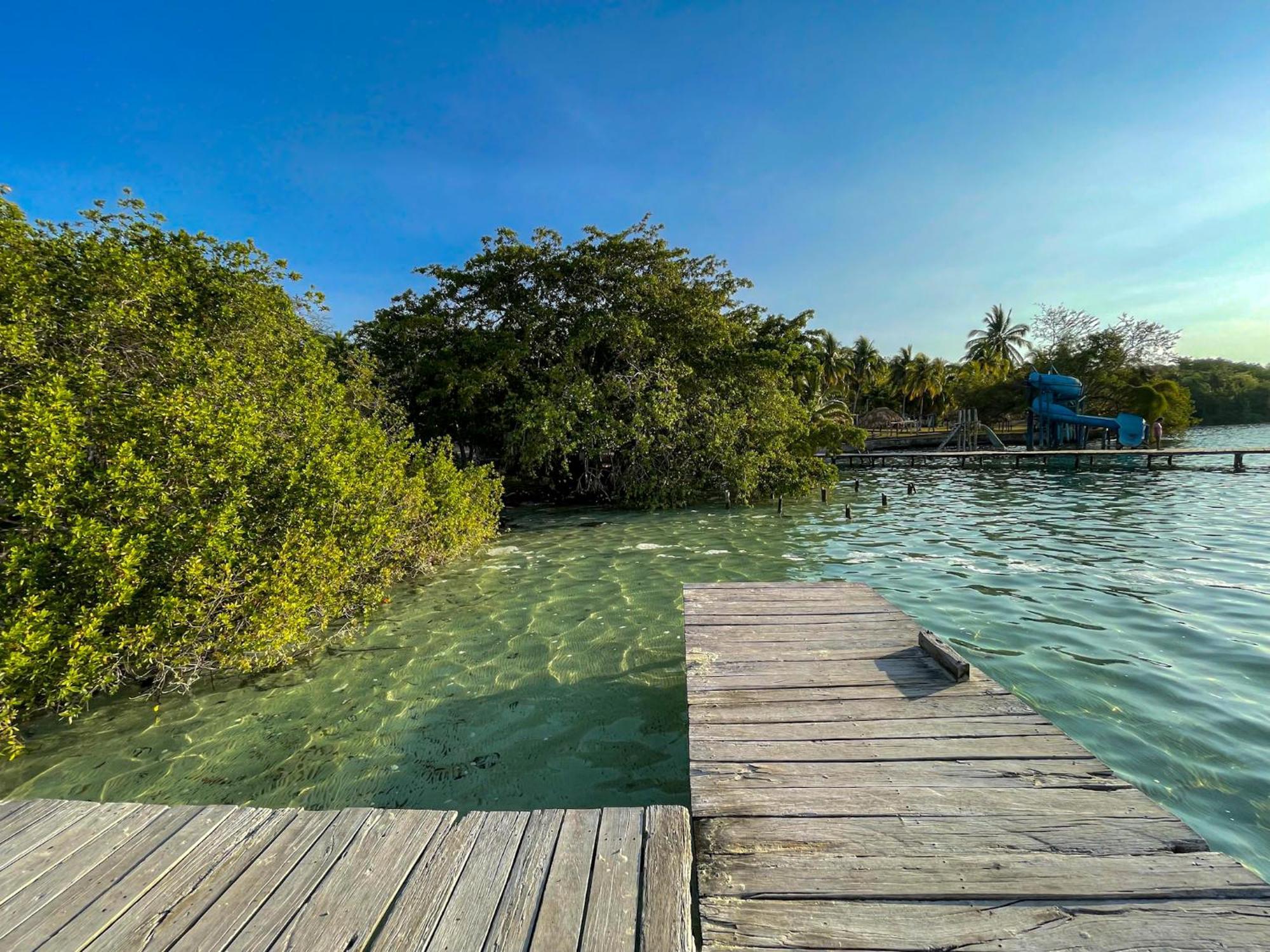 Bufo Alvarius Sanctuary Bacalar Buenavista  ภายนอก รูปภาพ