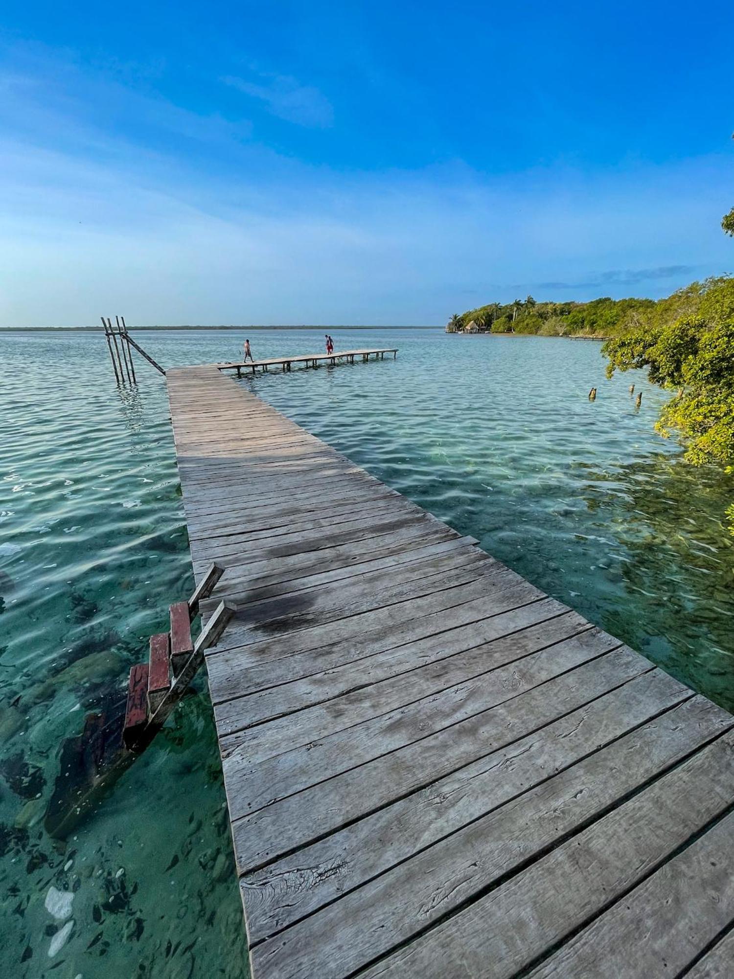 Bufo Alvarius Sanctuary Bacalar Buenavista  ภายนอก รูปภาพ