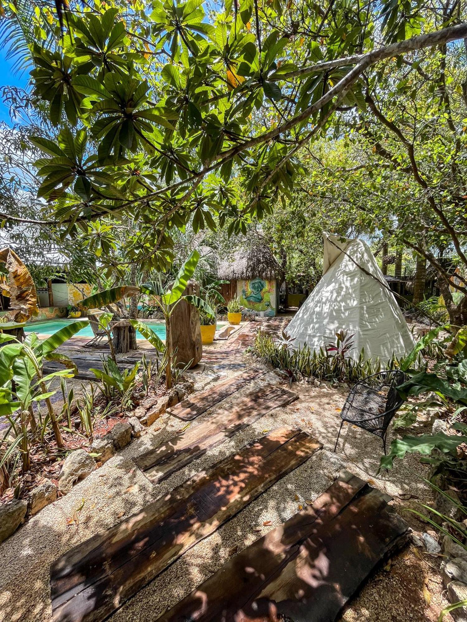 Bufo Alvarius Sanctuary Bacalar Buenavista  ภายนอก รูปภาพ