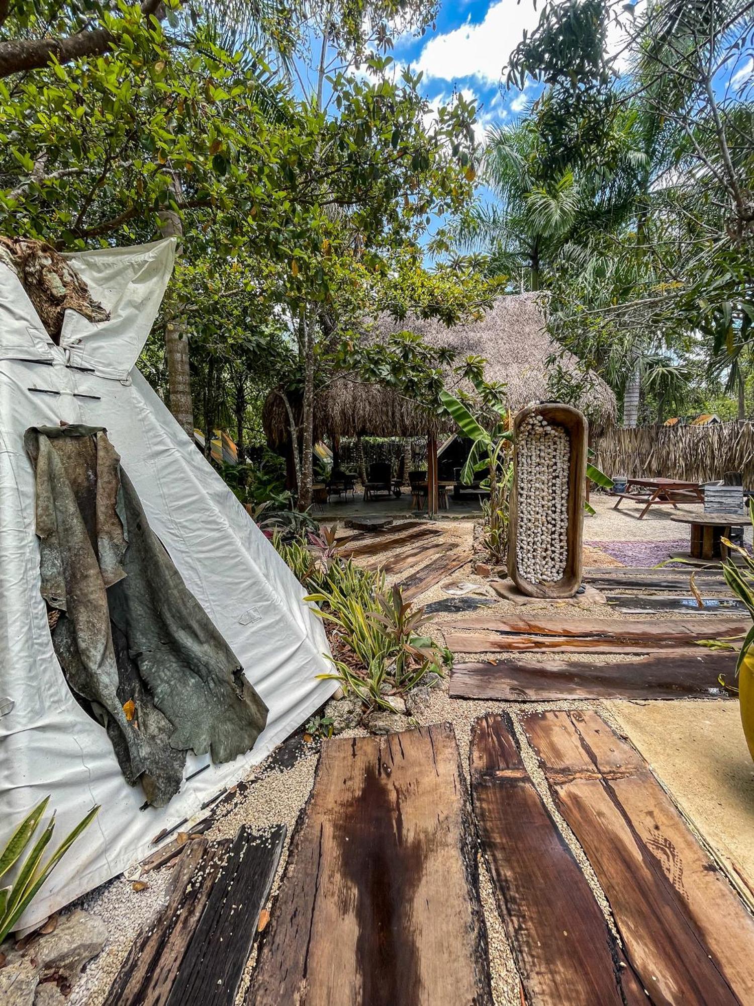 Bufo Alvarius Sanctuary Bacalar Buenavista  ภายนอก รูปภาพ